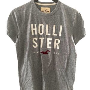 Hollister • Logo T-shirt • Grey • Men’s Size Small